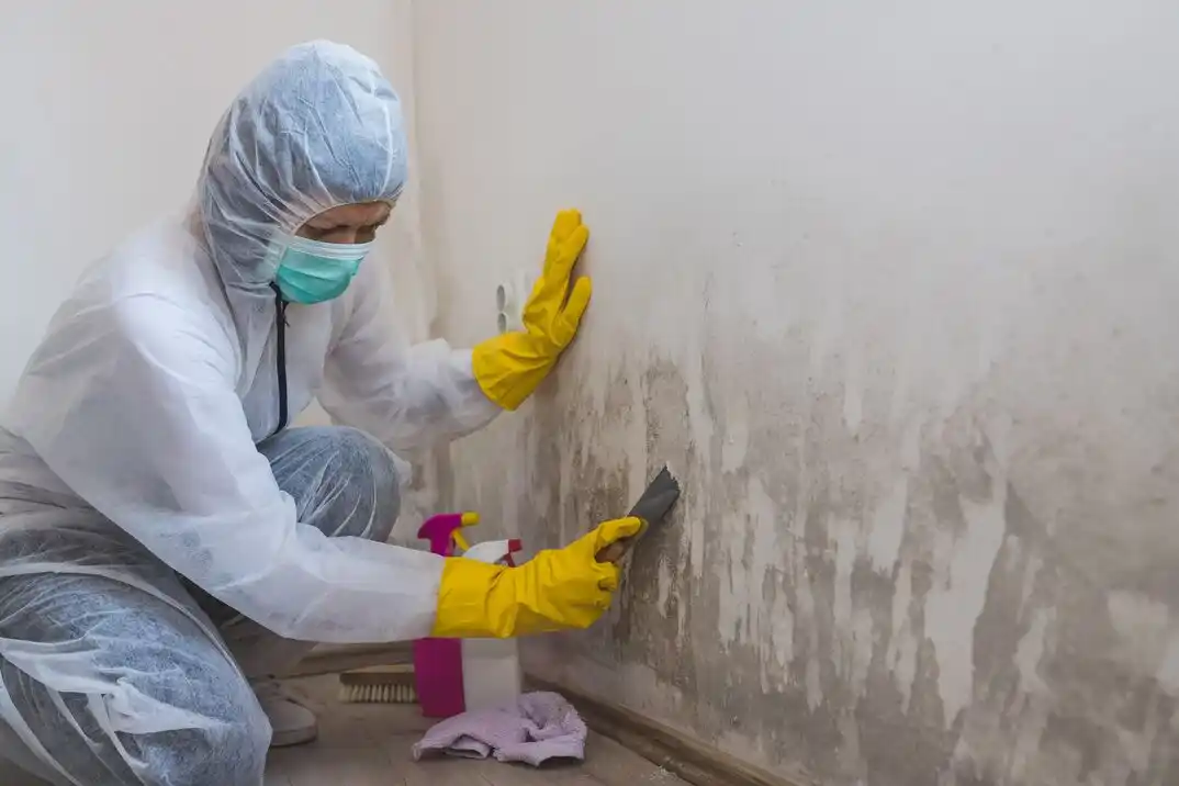 water damage restoration service Marlborough East